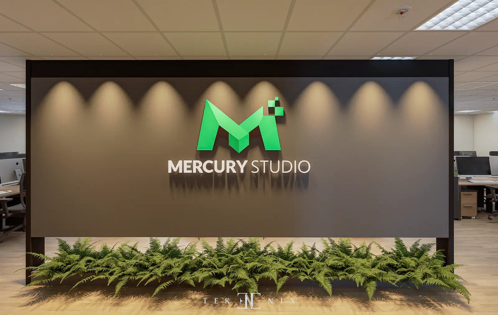 Mercury Q1 — hình 2